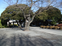 rinkai_top_03